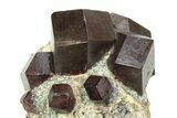 Polished Almandine Garnets in Schist - Tyrol, Austria #352078-2
